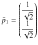 $\displaystyle \bar{p}_{1}=
\begin{pmatrix}
\dfrac{1}{\sqrt{2}}\\
\dfrac{1}{\sqrt{2}}
\end{pmatrix}
$