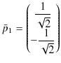 $\displaystyle \bar{p}_{1}=
\begin{pmatrix}
\dfrac{1}{\sqrt{2}}\\
-\dfrac{1}{\sqrt{2}}
\end{pmatrix}
$